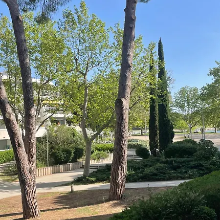 Agreable Au Ponant 35 M2 * La Grande Motte
